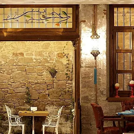 Hotell Orchis Ayvalı